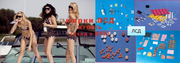 гашик Алексеевка