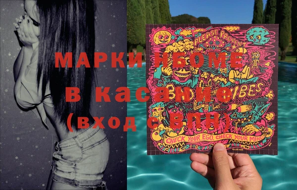 гашик Алексеевка