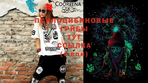 гашик Алексеевка